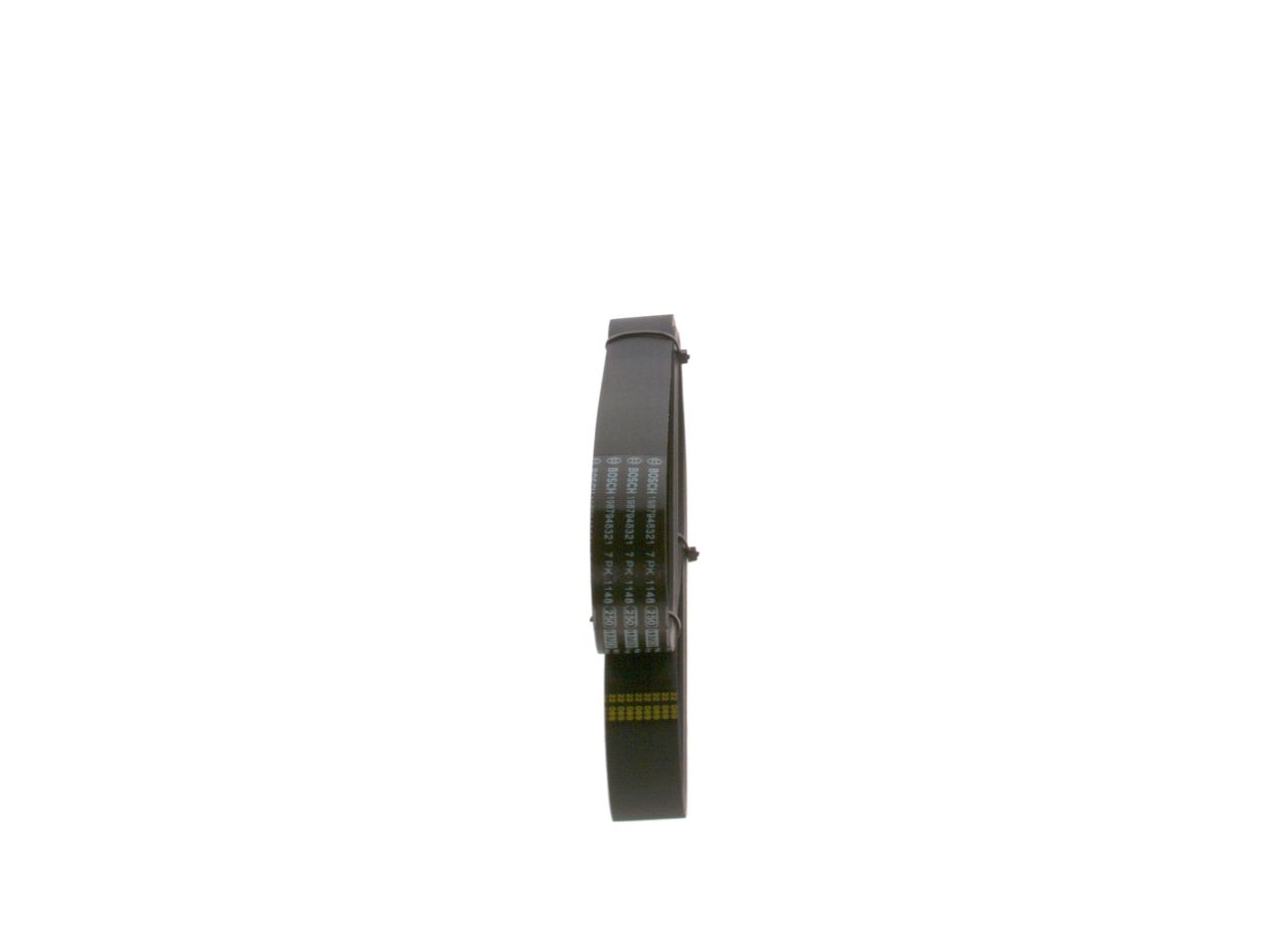 V-ribbed Belt-1