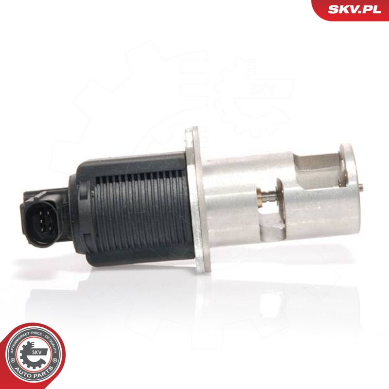 ESEN SKV 14SKV009 Egr valve