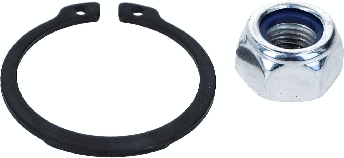 Šarnyras / girgždukas-3