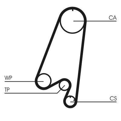 Timing Belt Kit-1