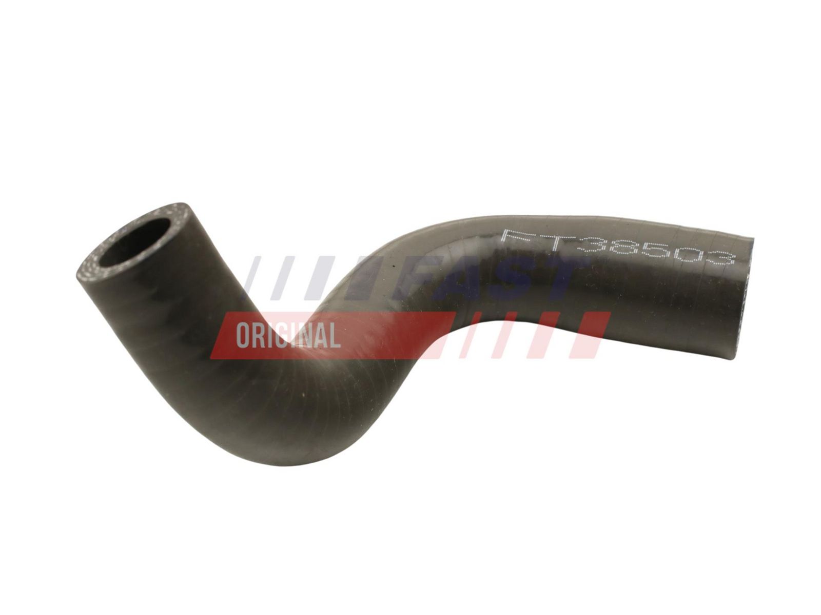 Radiator Hose-1