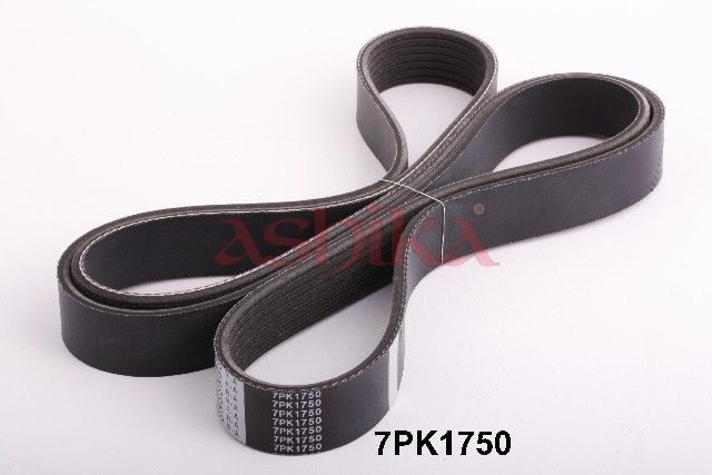 ASHIKA 112-7PK1750 V-ribbed belt