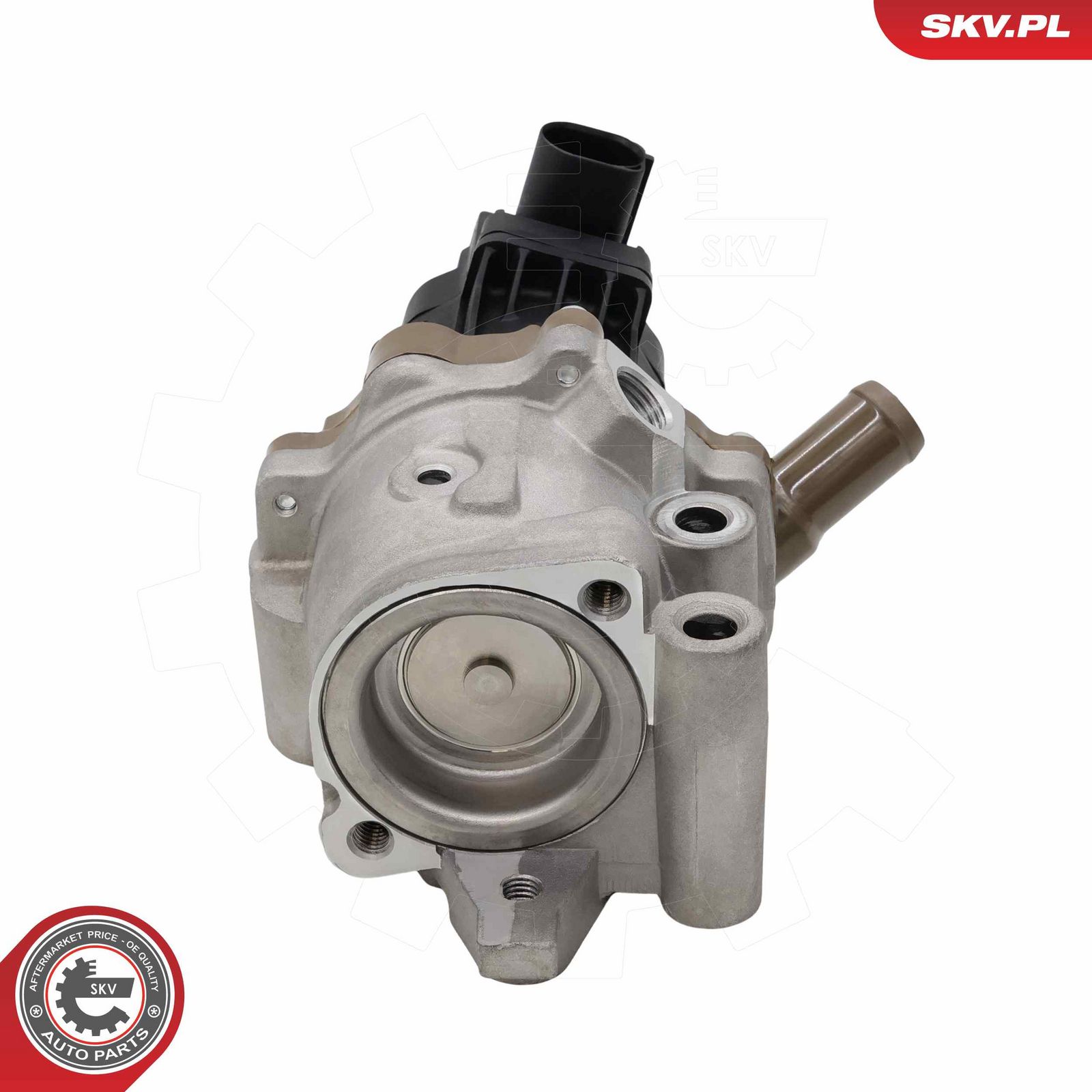 EGR Valve-5