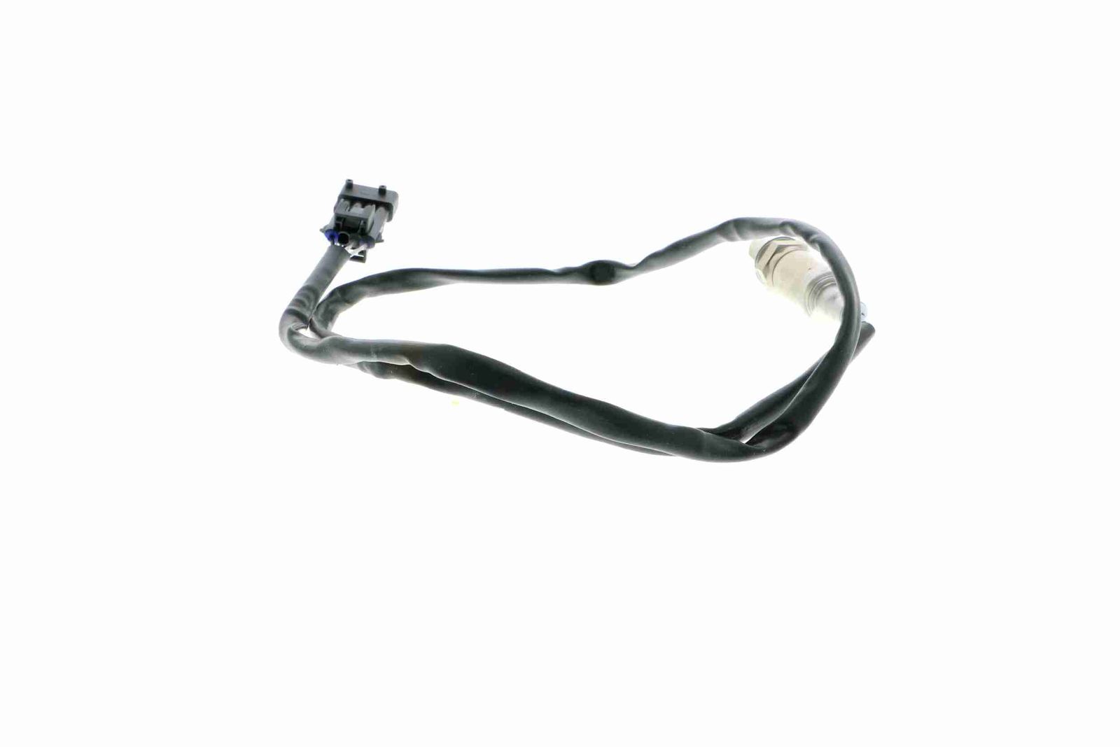 Oxygen Sensor-6