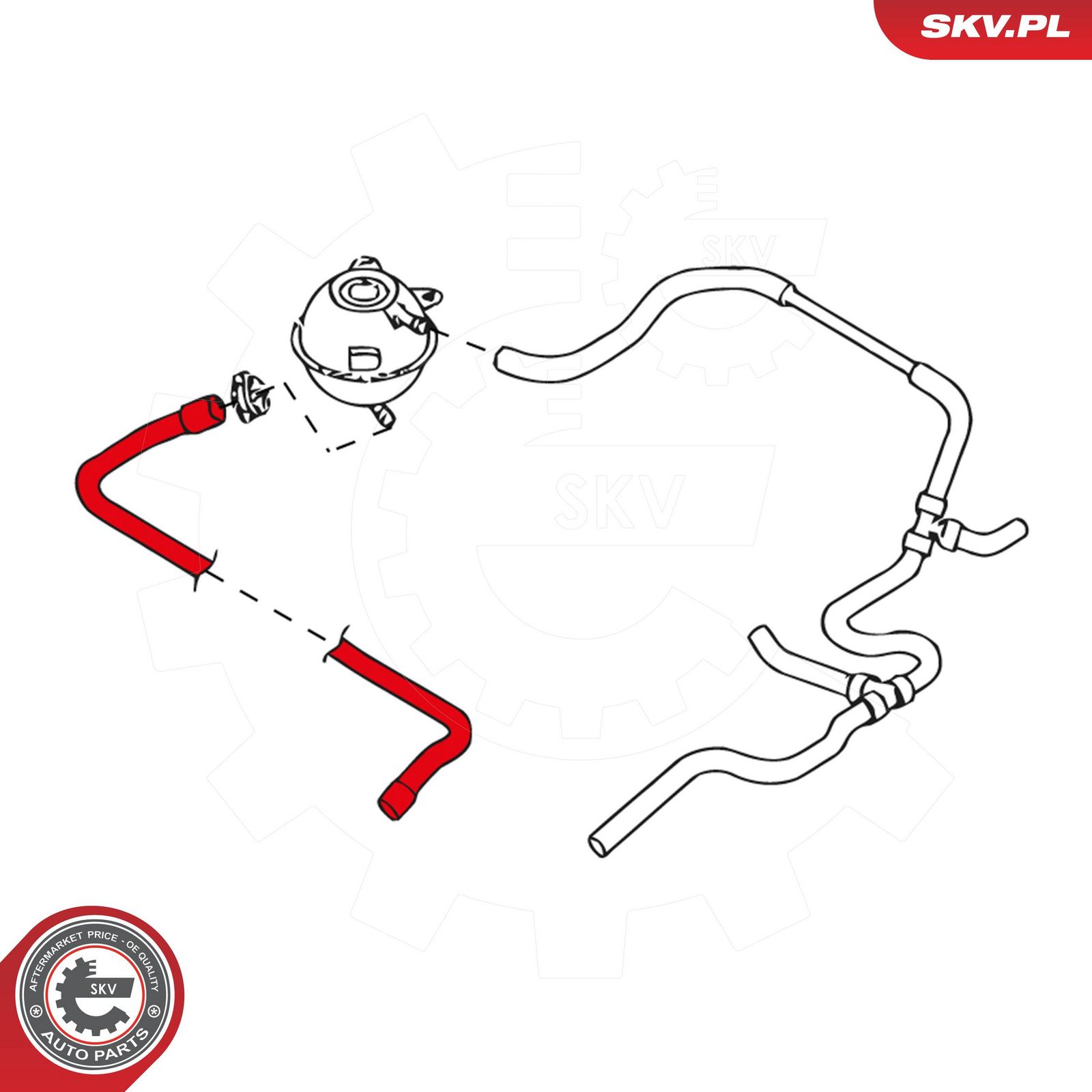 Radiator Hose-3