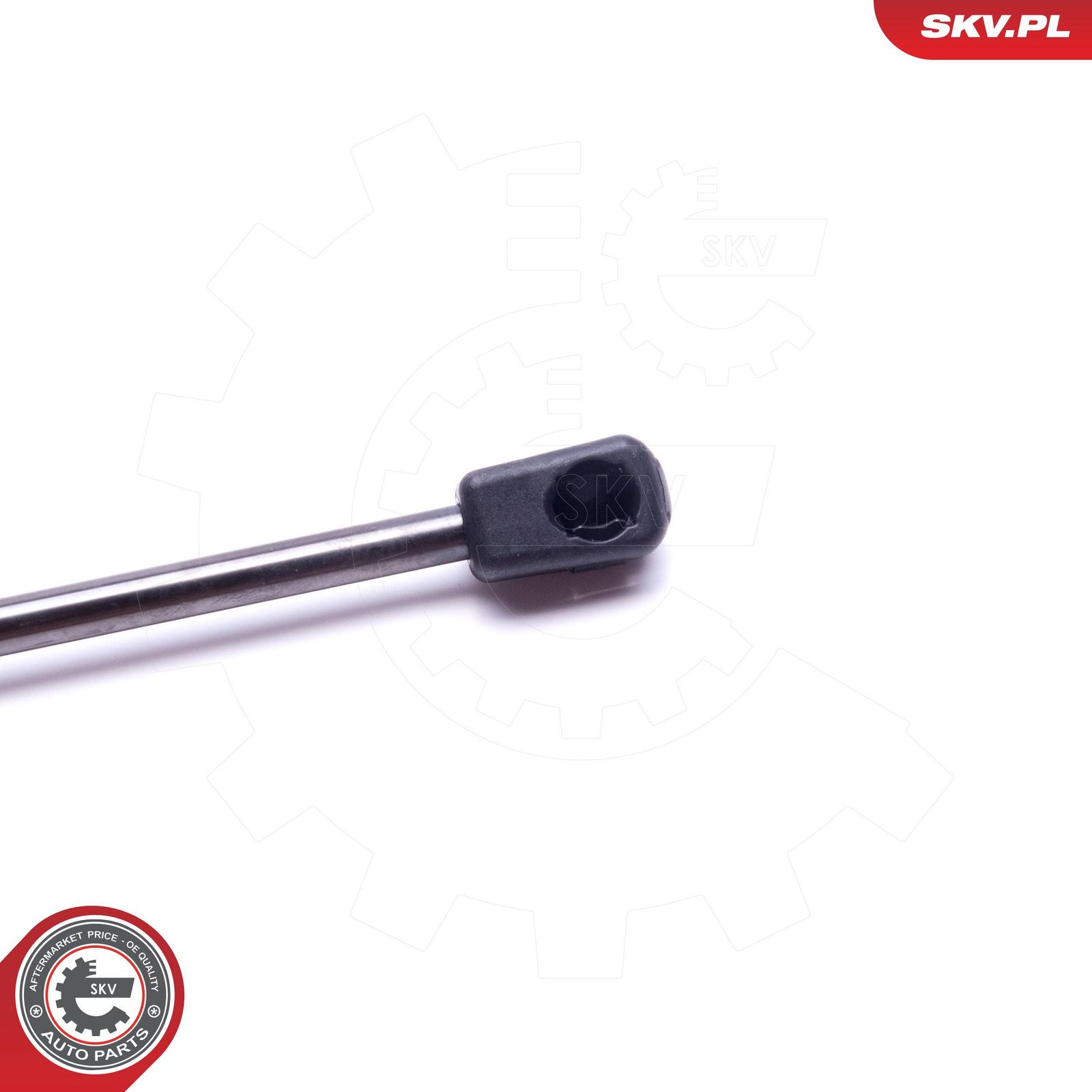 Gas Spring, bonnet-2