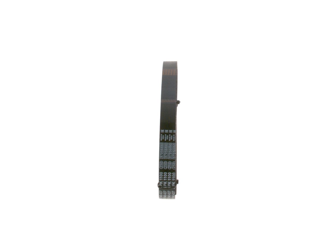 V-ribbed Belt-3