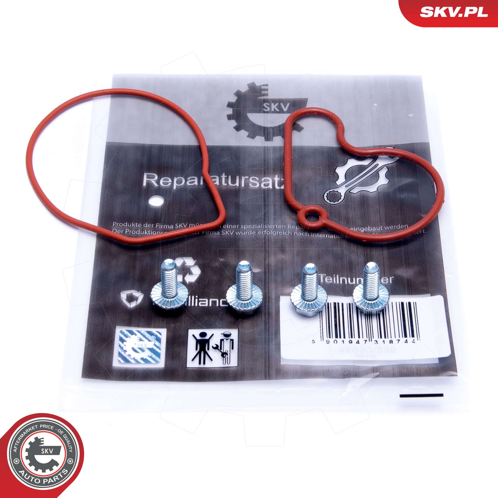 Repair Set, vacuum pump (braking system)-1
