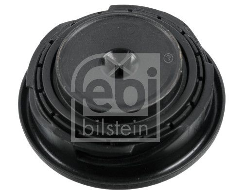 Cap, oil filler neck-1