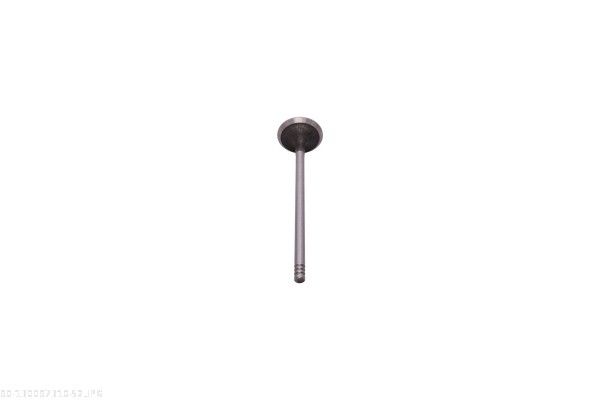 Exhaust Valve-3
