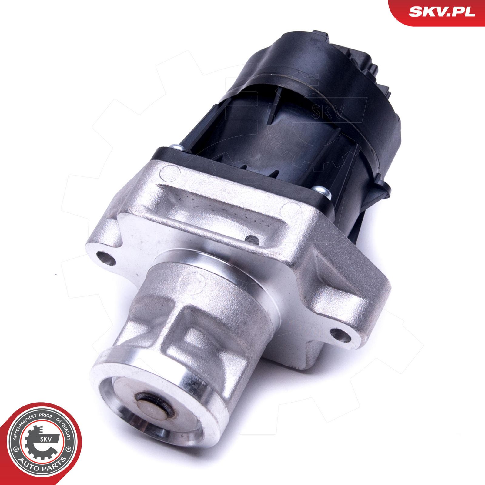 EGR Valve-2