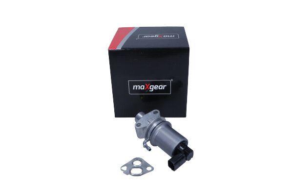 EGR Valve-1