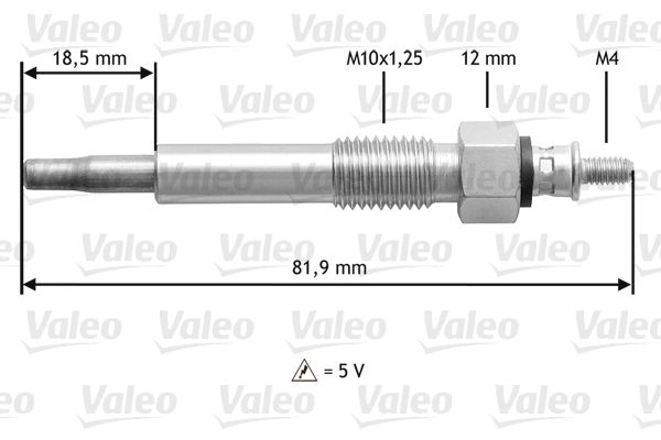 Glow Plug-main