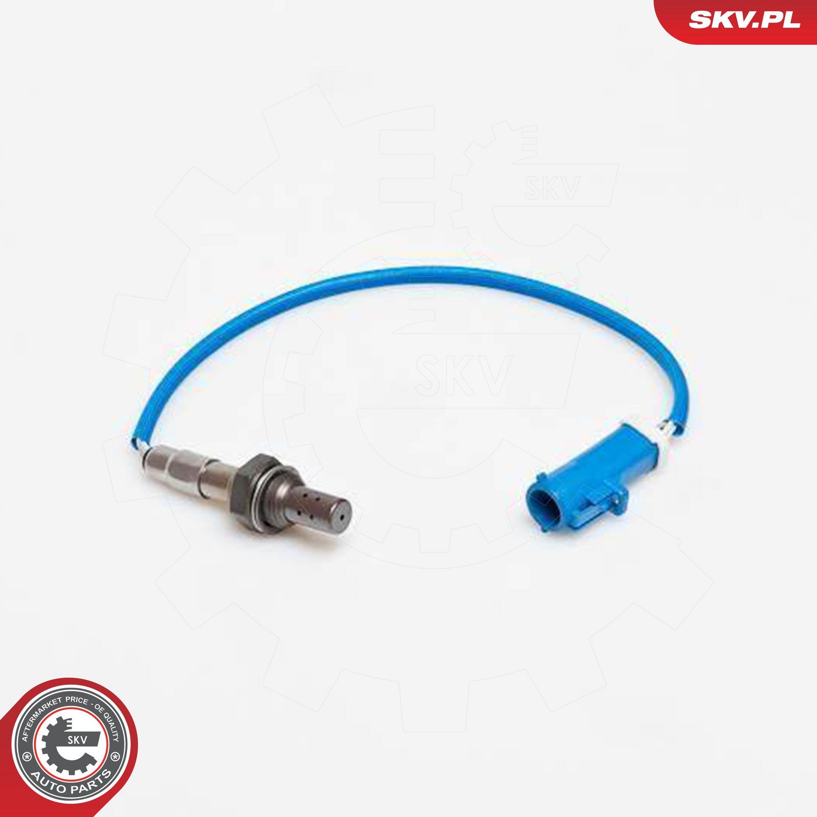 Oxygen Sensor-2