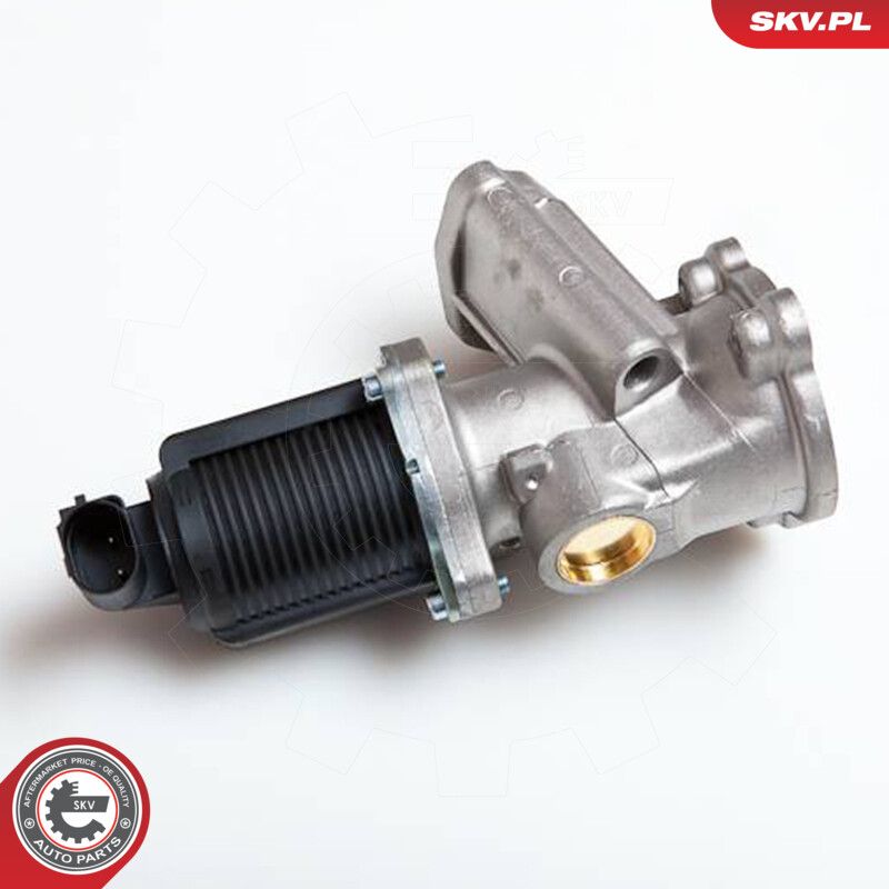 EGR Valve-main