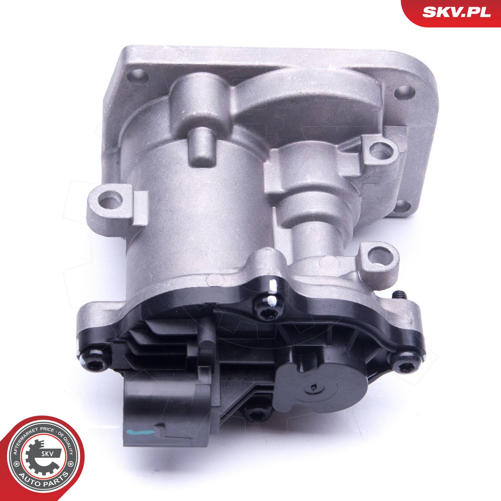 EGR Valve