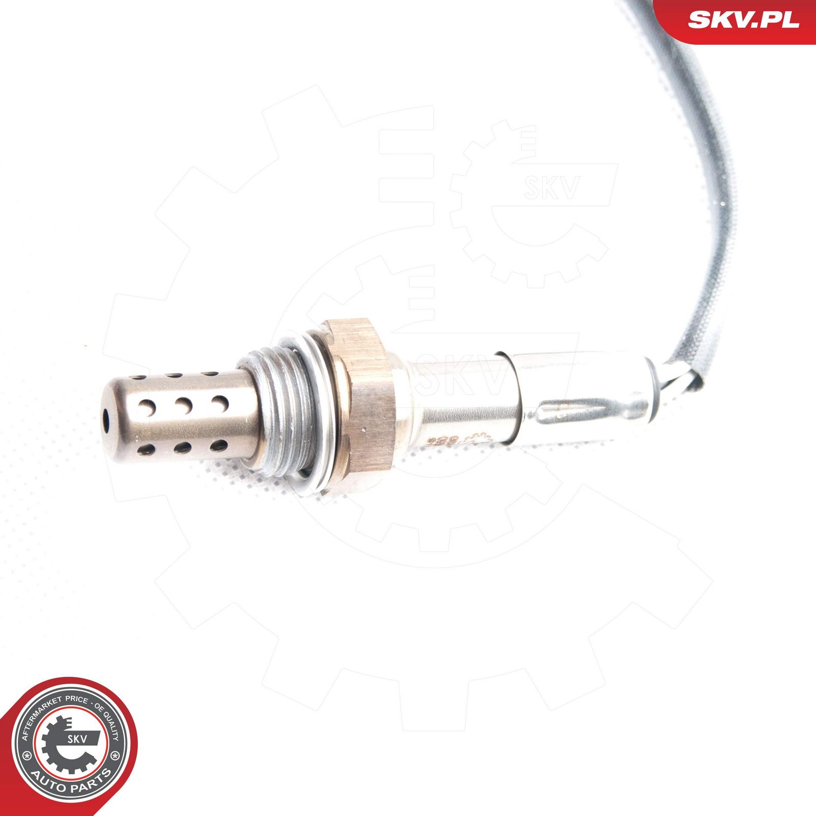 Oxygen Sensor-1