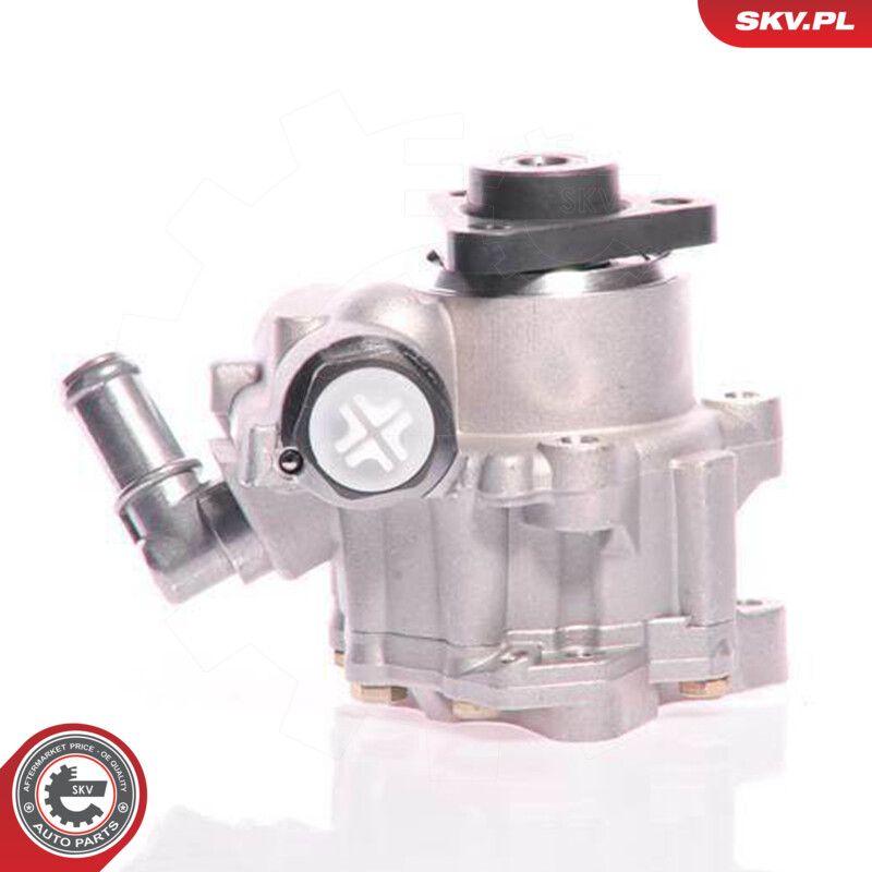 ESEN SKV 10SKV161 Hydraulic pump, steering