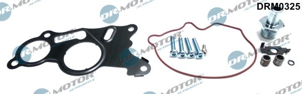DR.MOTOR AUTOMOTIVE DRM0325 Repair set, vacuum pump (braking system)