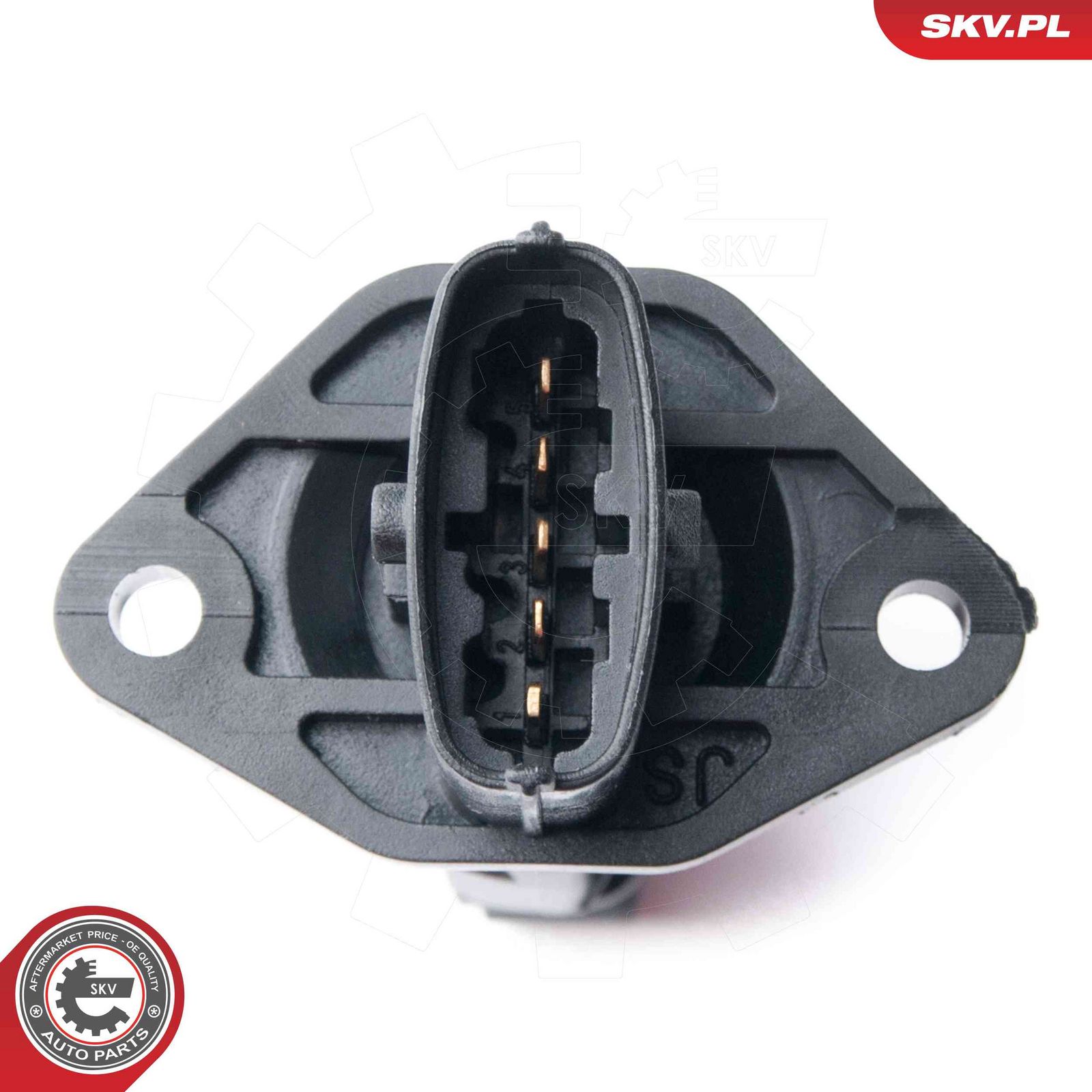 Mass Air Flow Sensor-1