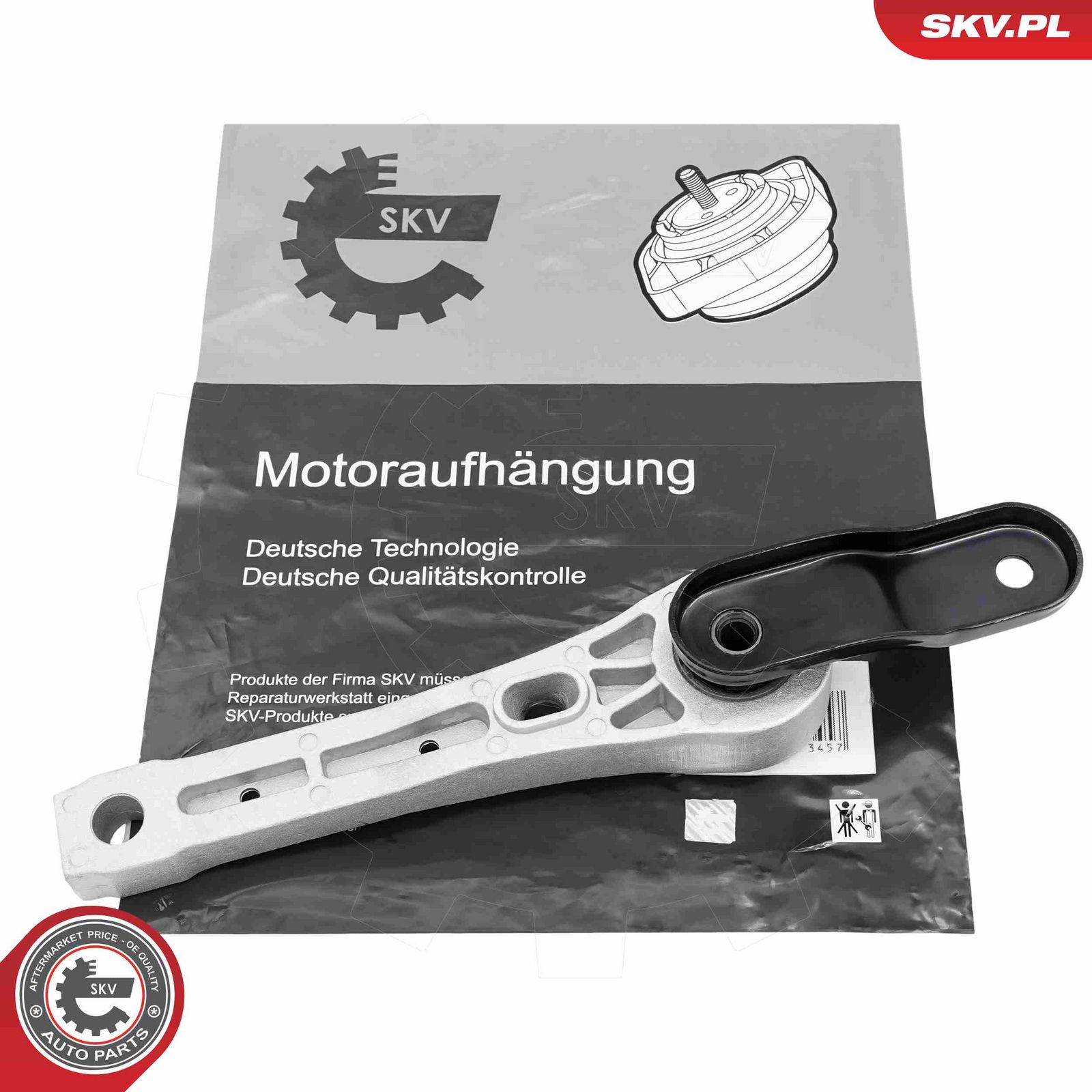 Mounting, engine-3