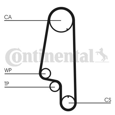 Water Pump & Timing Belt Kit-1