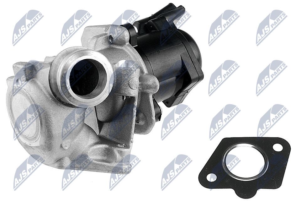EGR Valve-1
