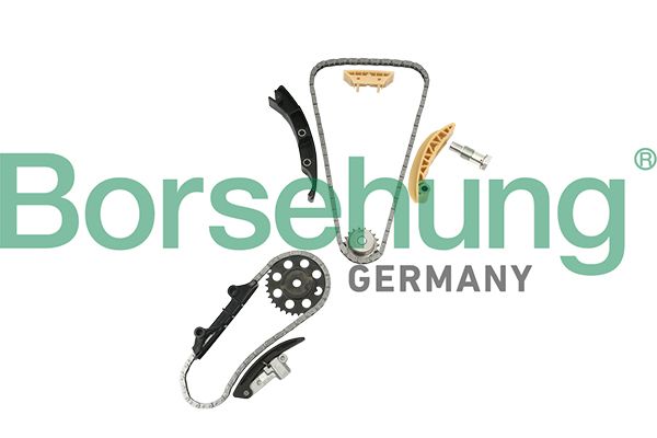 BORSEHUNG B18846 Timing chain kit