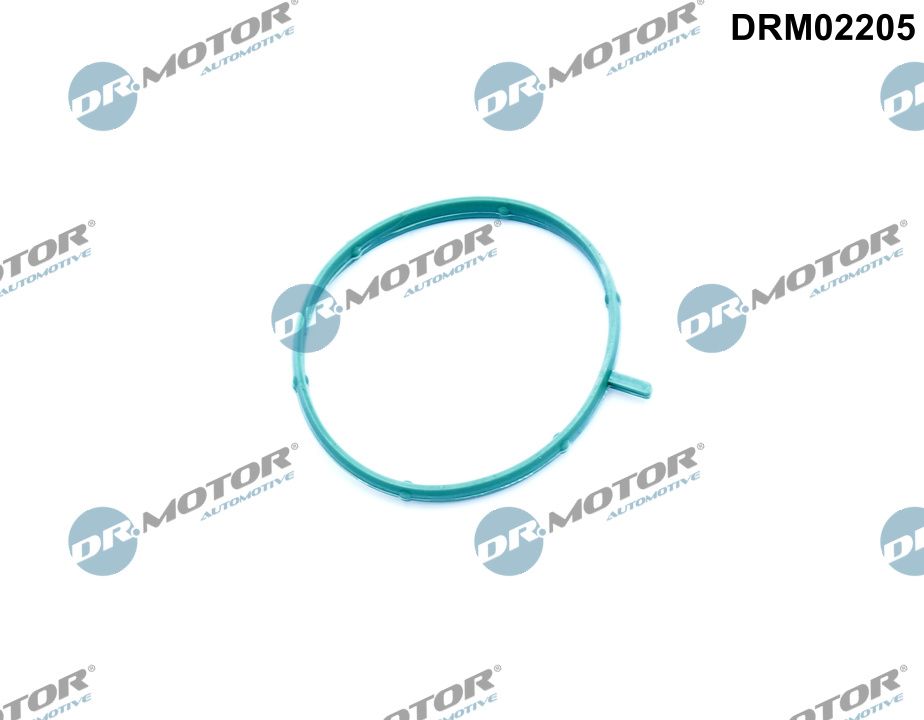DR.MOTOR AUTOMOTIVE DRM02205 Gasket, thermostat housing