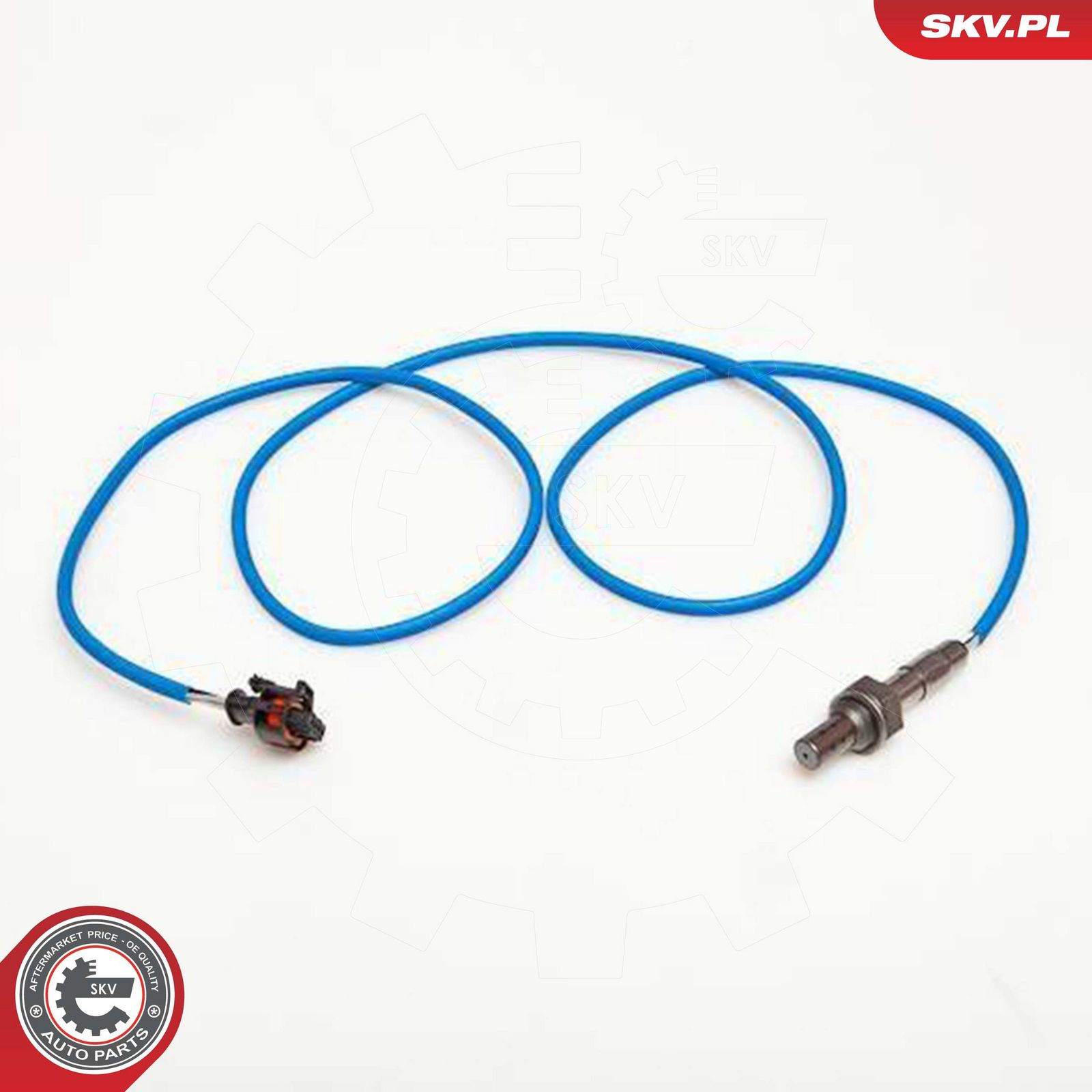 Oxygen Sensor-1