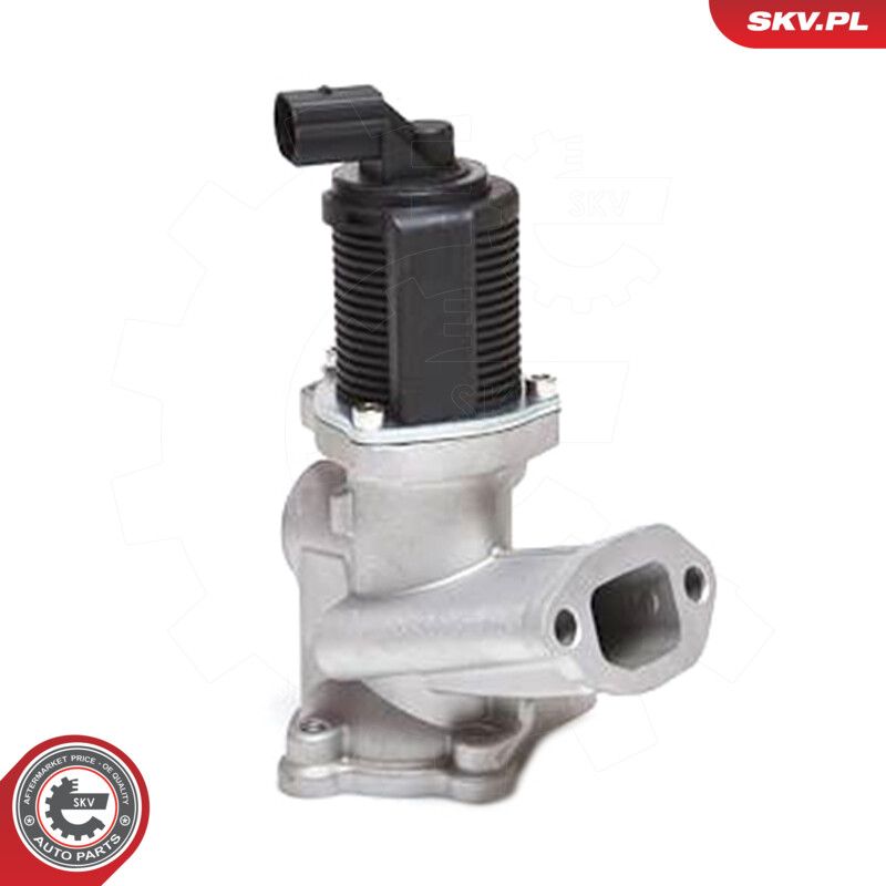 ESEN SKV 14SKV031 Egr valve