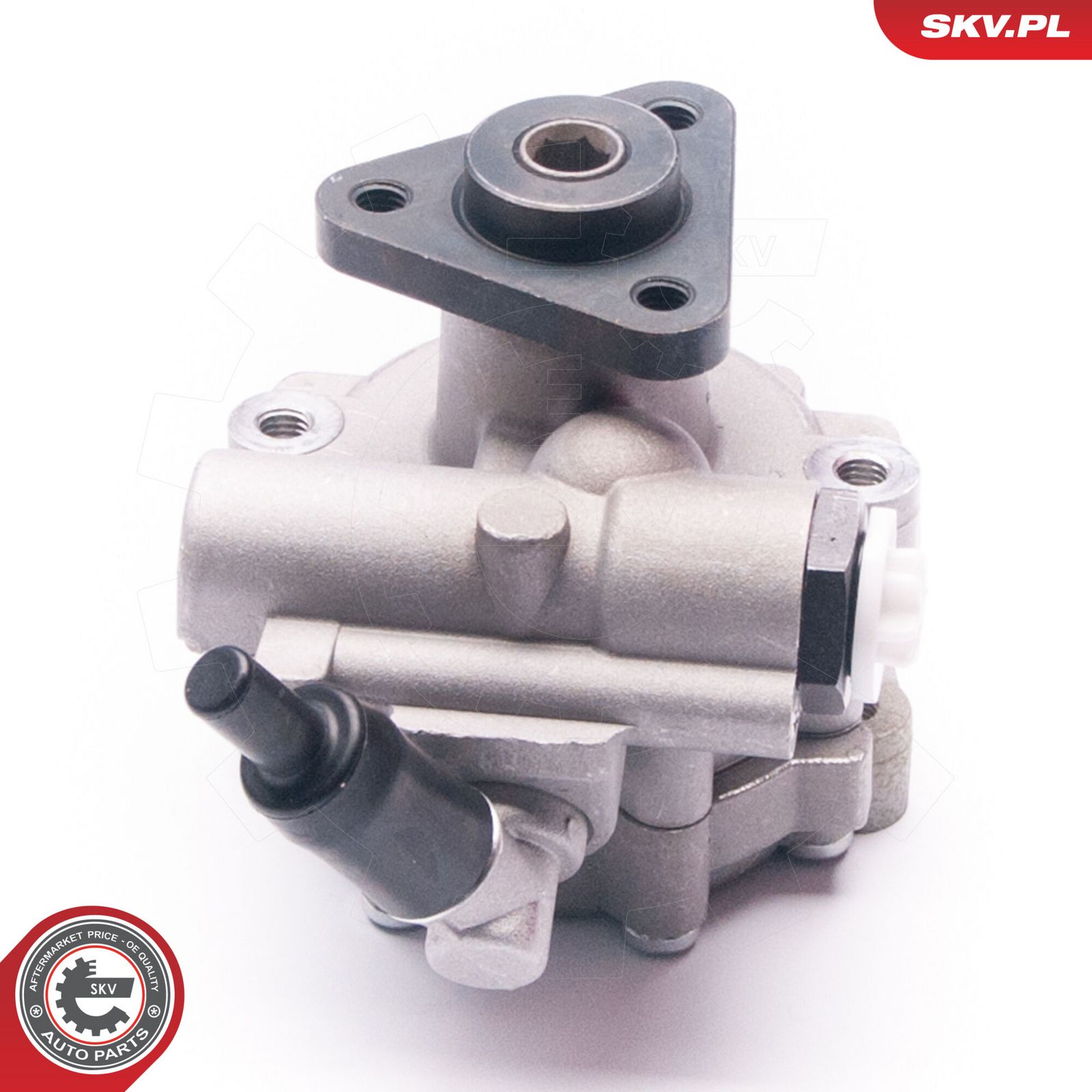 Hydraulic Pump, steering-1