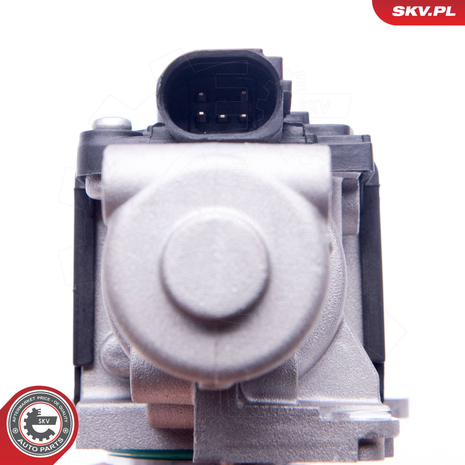 EGR Valve-3