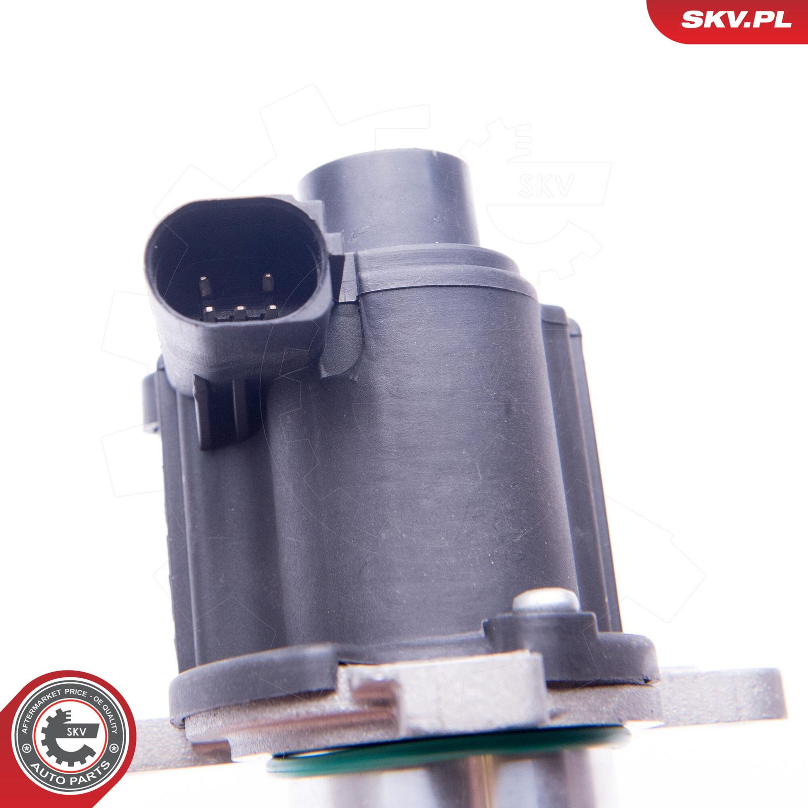 EGR Valve-4
