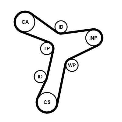 Timing Belt-1