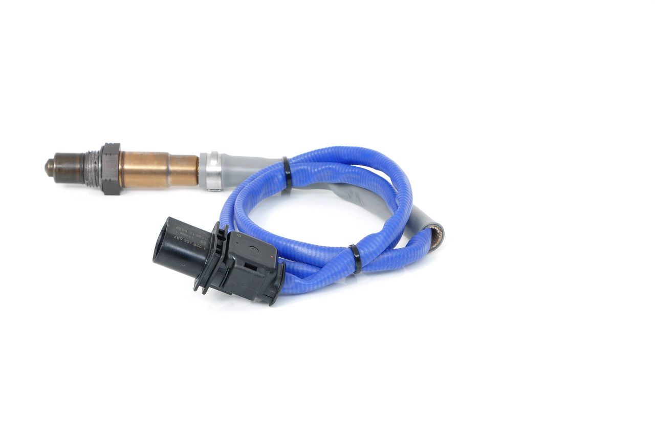 Oxygen Sensor-2