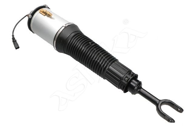 Air Suspension Strut-main