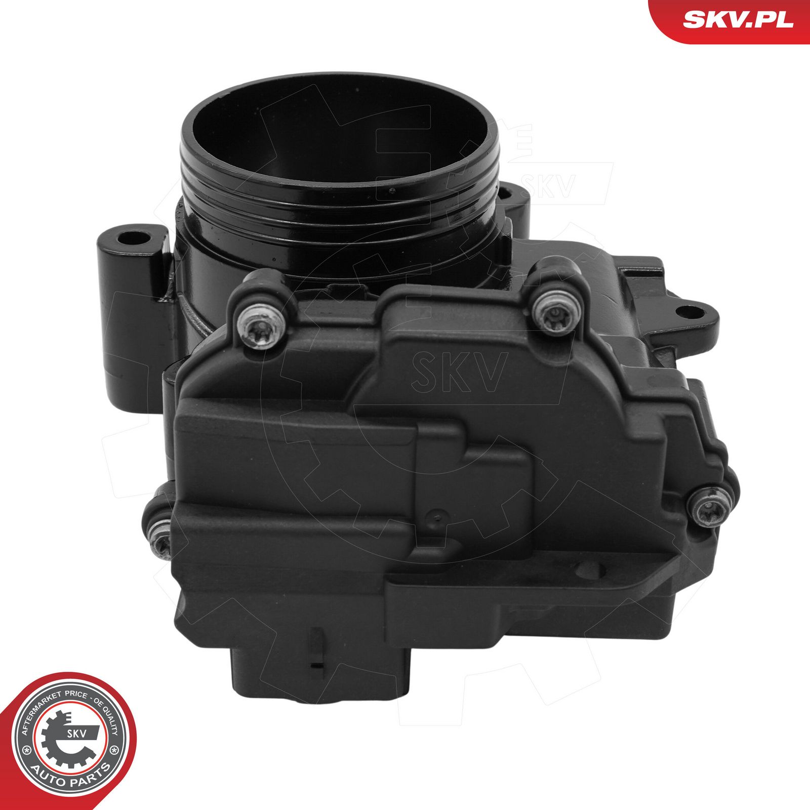 Throttle Body-2