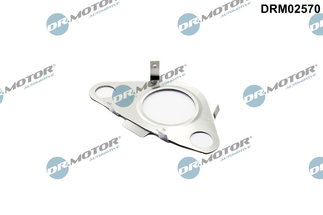 DR.MOTOR AUTOMOTIVE DRM02570 Gasket, egr valve pipe