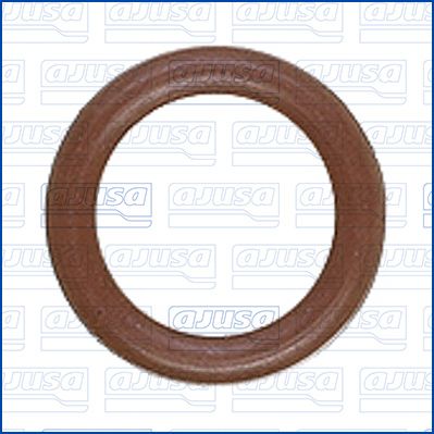 Seal Ring, injector-main