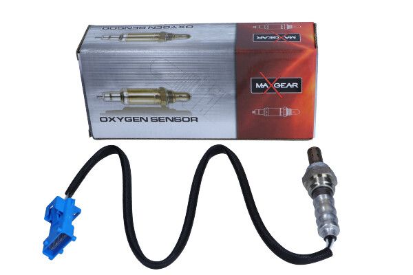 Oxygen Sensor-1