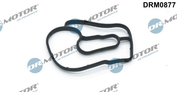 Gasket, oil filter housing