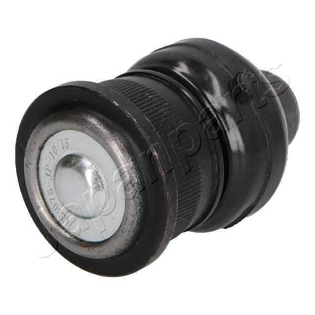 Šarnyras / girgždukas-1