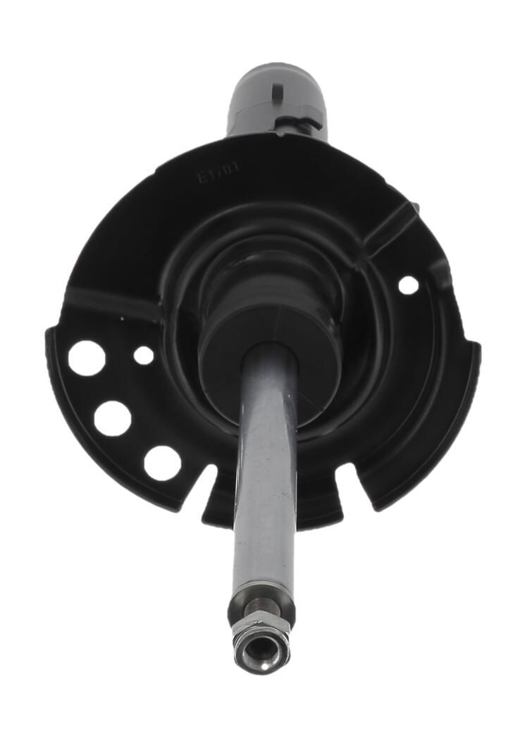 Shock Absorber-1