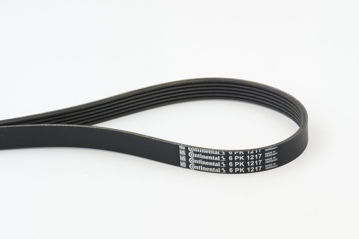 CONTINENTAL CTAM 6PK1217 V-ribbed belt
