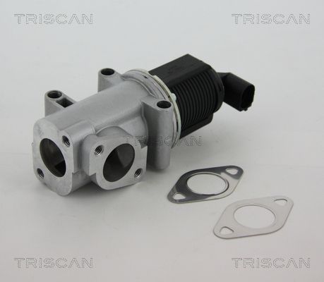 TRISCAN 8813 10015 Egr valve