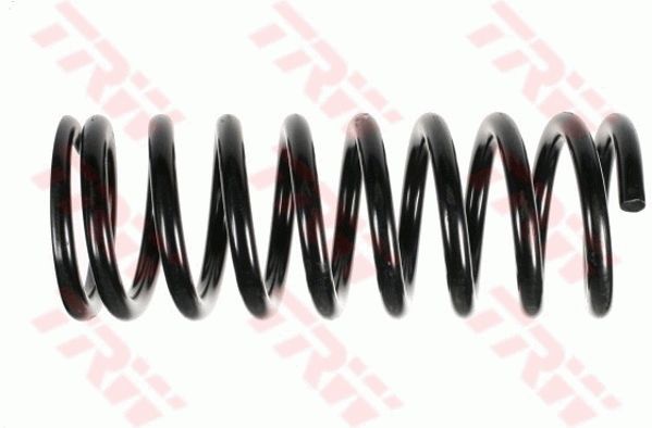 TRW JCS840 Suspension spring