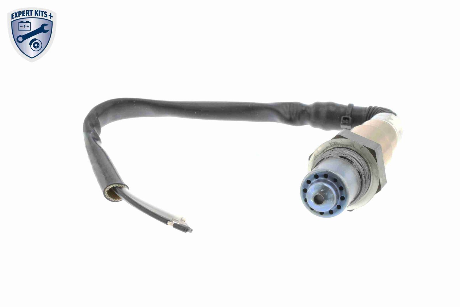 Oxygen Sensor-2