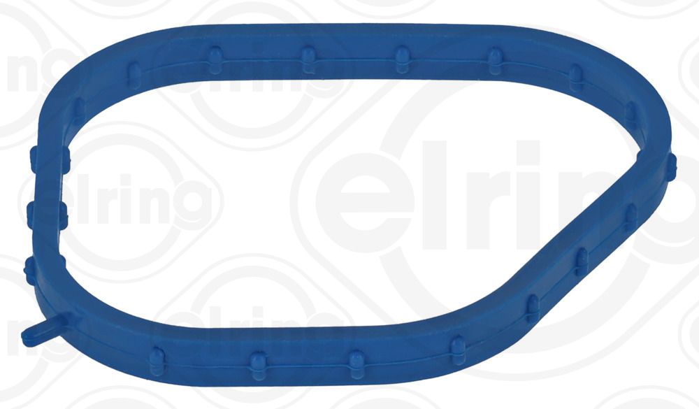 Gasket, thermostat housing-main