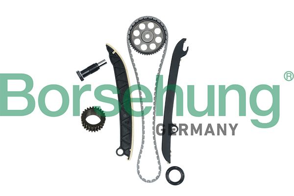 BORSEHUNG B16297 Timing chain kit